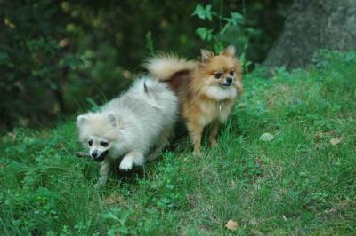 Sept4_04_037.JPG