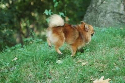Sept4_04_040.JPG