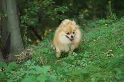 Sept4_04_045.JPG