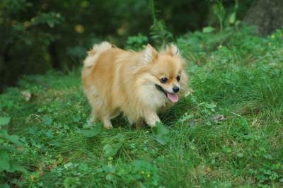 Sept4_04_048.JPG