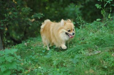 Sept4_04_056.JPG