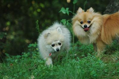 Sept4_04_065.JPG