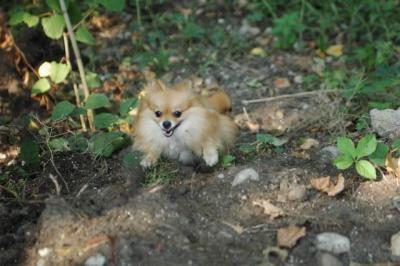Sept4_04_107.JPG