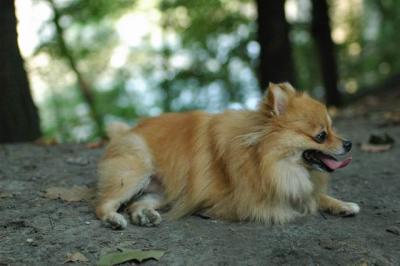 Sept4_04_148.JPG