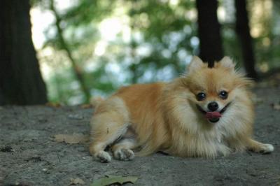 Sept4_04_149.JPG