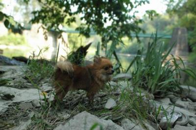 Sept4_04_207.JPG