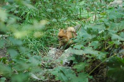 Sept4_04_264.JPG