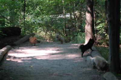 Sept4_04_276.JPG