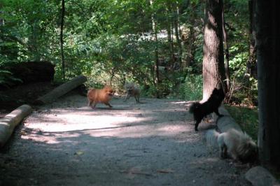 Sept4_04_277.JPG