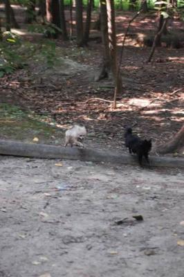 Sept4_04_309.JPG
