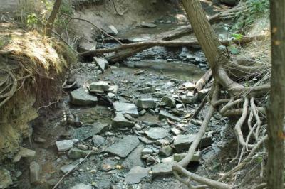 Sept4_04_317.JPG