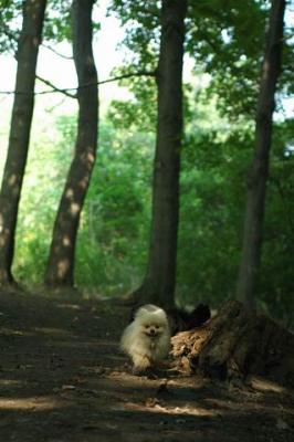 Sept4_04_345.JPG
