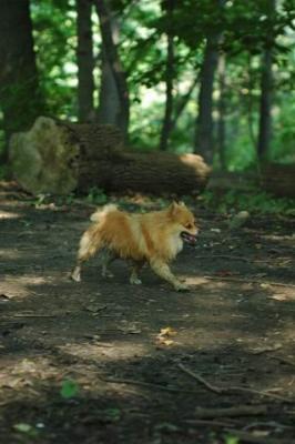 Sept4_04_358.JPG
