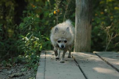 Sept4a_04_091.JPG