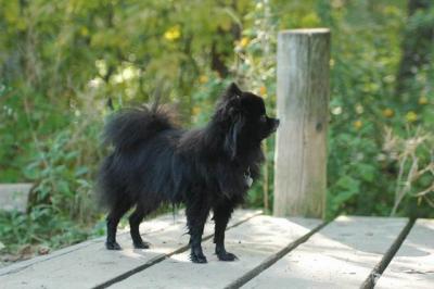 Sept4a_04_092.JPG