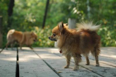 Sept4a_04_102.JPG