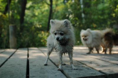 Sept4a_04_110.JPG