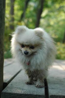 Sept4a_04_124.JPG