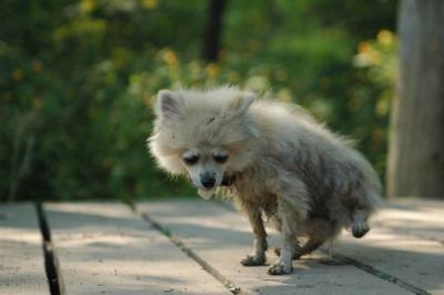 Sept4a_04_134.JPG