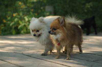 Sept4a_04_151.JPG