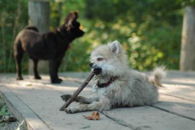 Sept4a_04_180.JPG