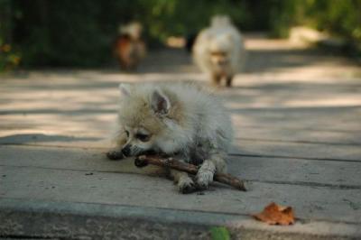 Sept4a_04_188.JPG