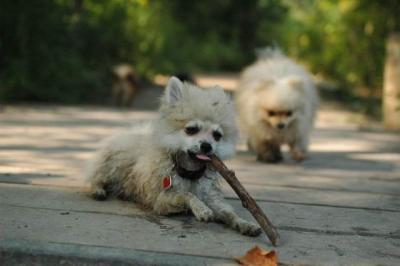 Sept4a_04_189.JPG