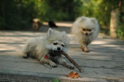 Sept4a_04_190.JPG