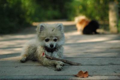 Sept4a_04_200.JPG