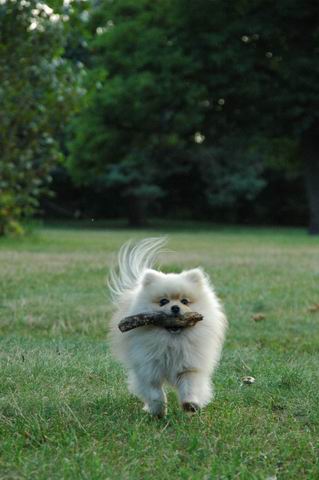Aug30a_04_055.JPG