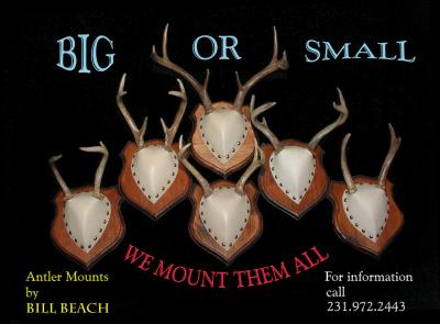Beach_antlers.jpg