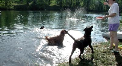 Pond fun