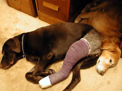 CutCrippled