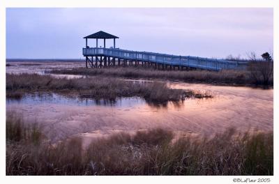 Lacassine Pool Sunrise