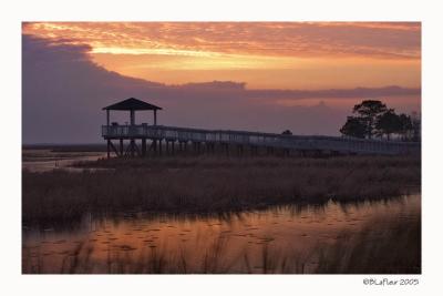 Lacassine Pool Sunrise 2