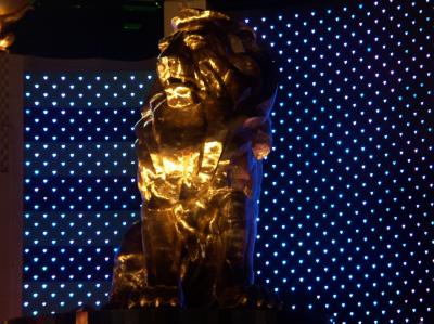 LV-005b - MGM Grand_Night
