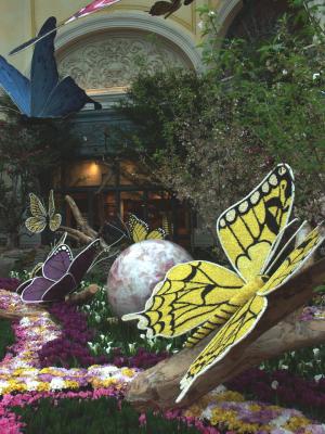 LV-013 - Inside Bellagio