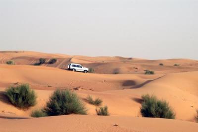 Dune driving