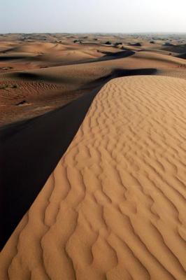 UAE desert