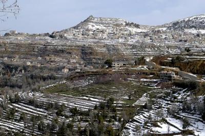 Terraced fields of the Qadisha Valley below Ehden