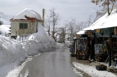 Village of Cedars