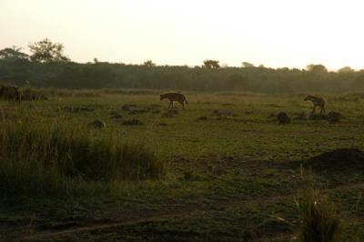 u41/bmcmorrow/medium/33195317.kenya4060.jpg