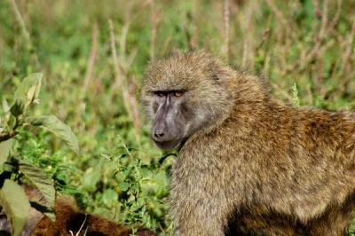 u41/bmcmorrow/medium/33209272.DSC_0127.jpg