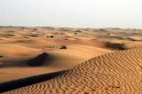 UAE desert