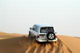 Leaving deep track in the soft sand