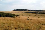 Maasai Mara near the Mara Serena Lodge