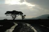 This stretch of road isnt too bad. The rain made some sections treacherous