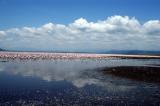 Clouds reflecting in Lake Nakuru with flamingos