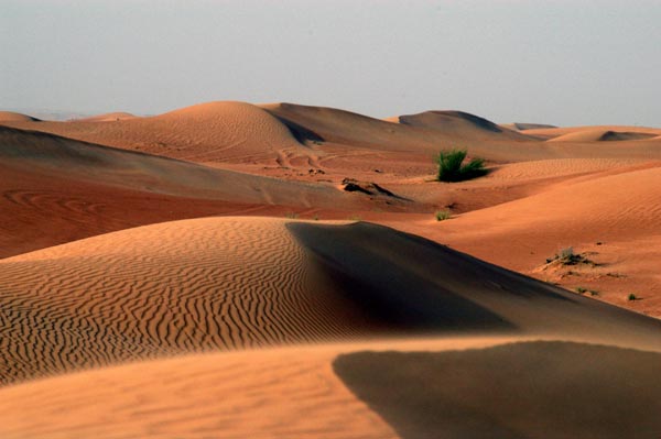 Scenic dunes