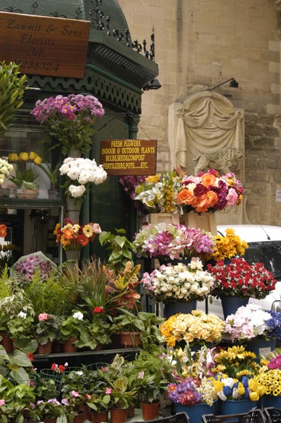 Flower vendor, Valletta